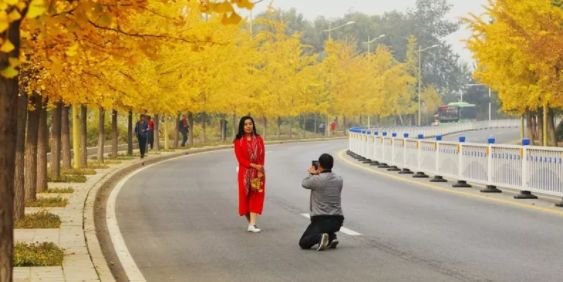 秦皇岛秋天去哪里玩,秦皇岛秋天游玩的景点