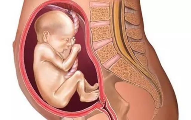 胎宝臀位会影响腿部发育?看完这些影响,要清楚纠正胎位的重要性