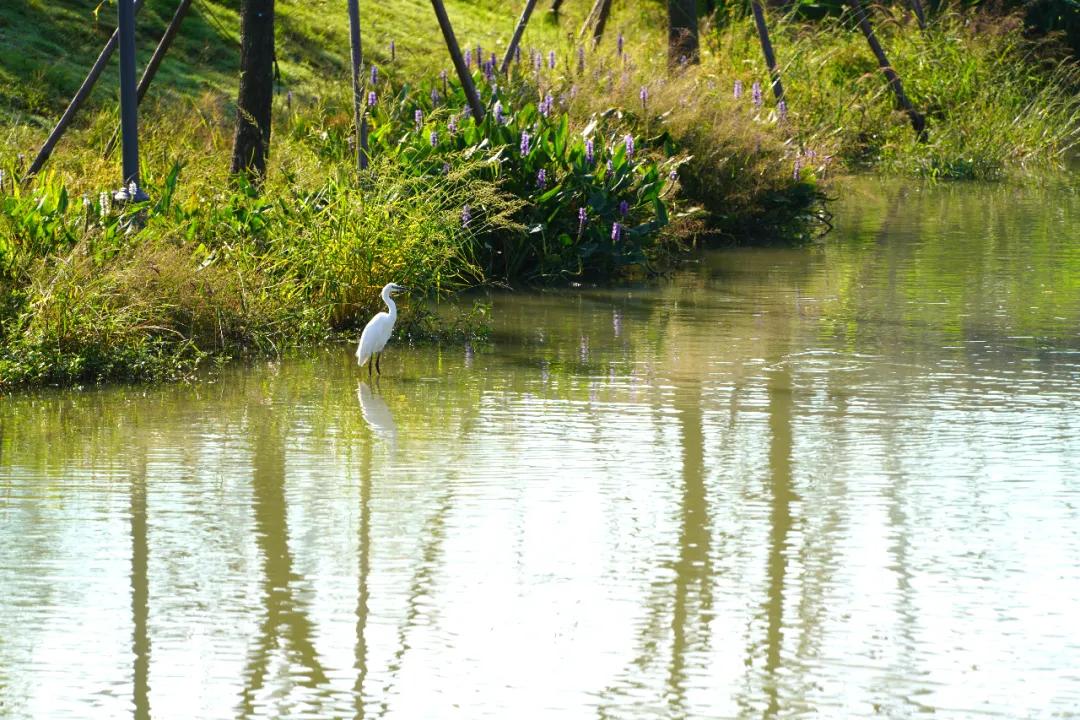 盐龙体育公园开放时间,盐龙体育公园开园仪式