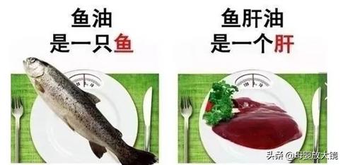 鱼油鱼肝油区别omega3,ad鱼肝油dha鱼肝油区别