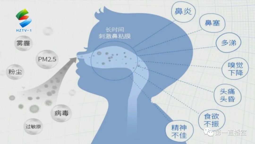 慢性鼻炎的健康宣教,文明始于心安全始于行