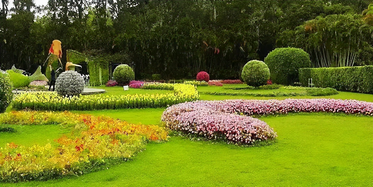 园林花卉学知识点,园林花卉学第三版知识点