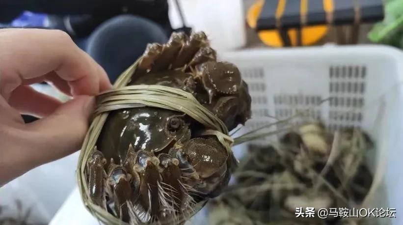 丁真全明星大乱斗图,丁真全明星大乱斗