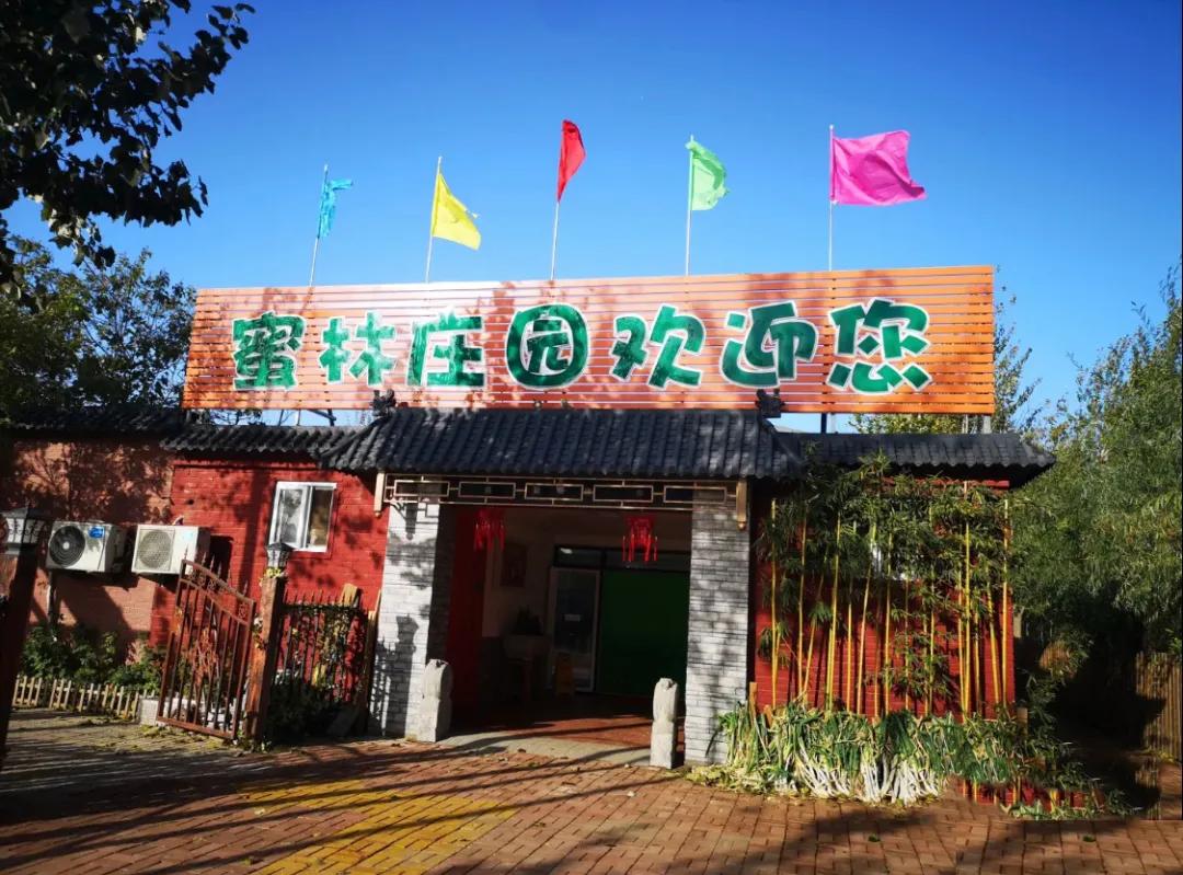 一个不出郑州的踏青好去处,天津春游公园推荐