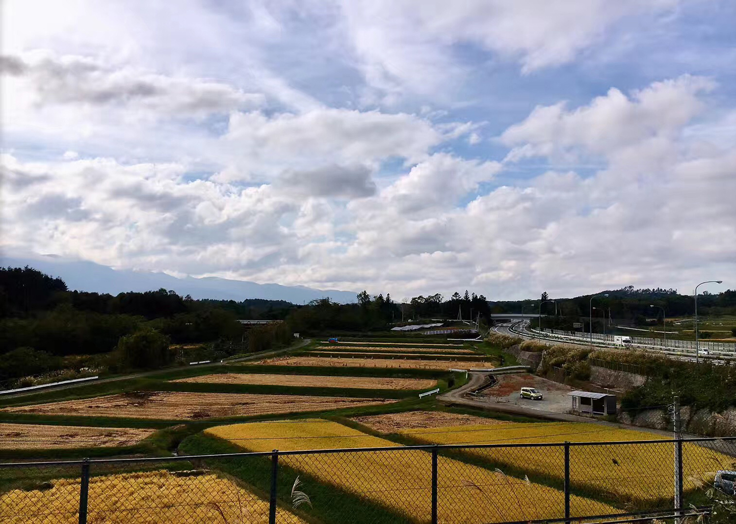 东京城市环境如何,东京这个城市好吗