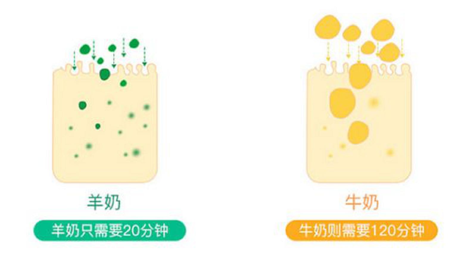 宝宝羊奶粉美赞臣,宝宝羊奶粉添加益生元