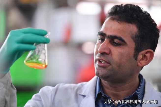 陕西“洋博士”：留学7年“学种地”，走红新华社、人民日报