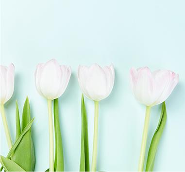 最流行的花艺趋势,目前流行的花艺流派