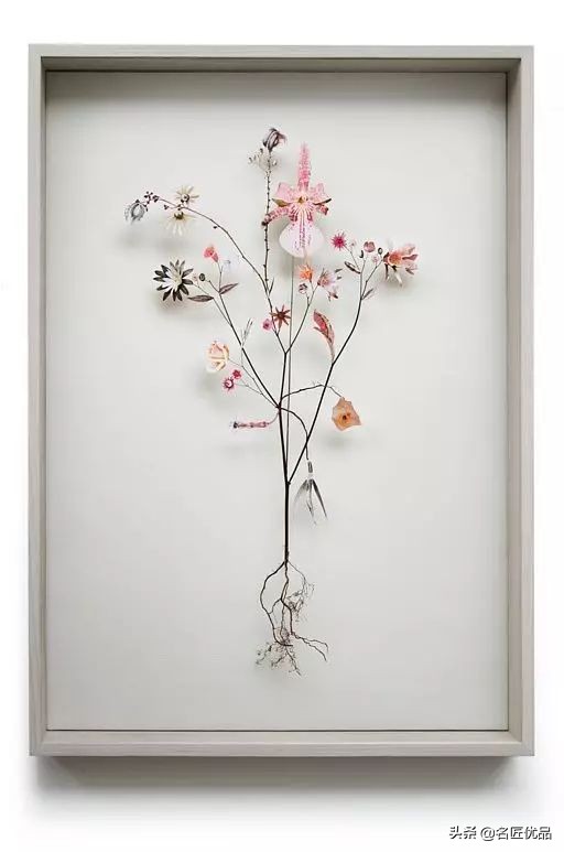 手工课堂：手把手教你做干花标本，比花钱买来的画好看十倍