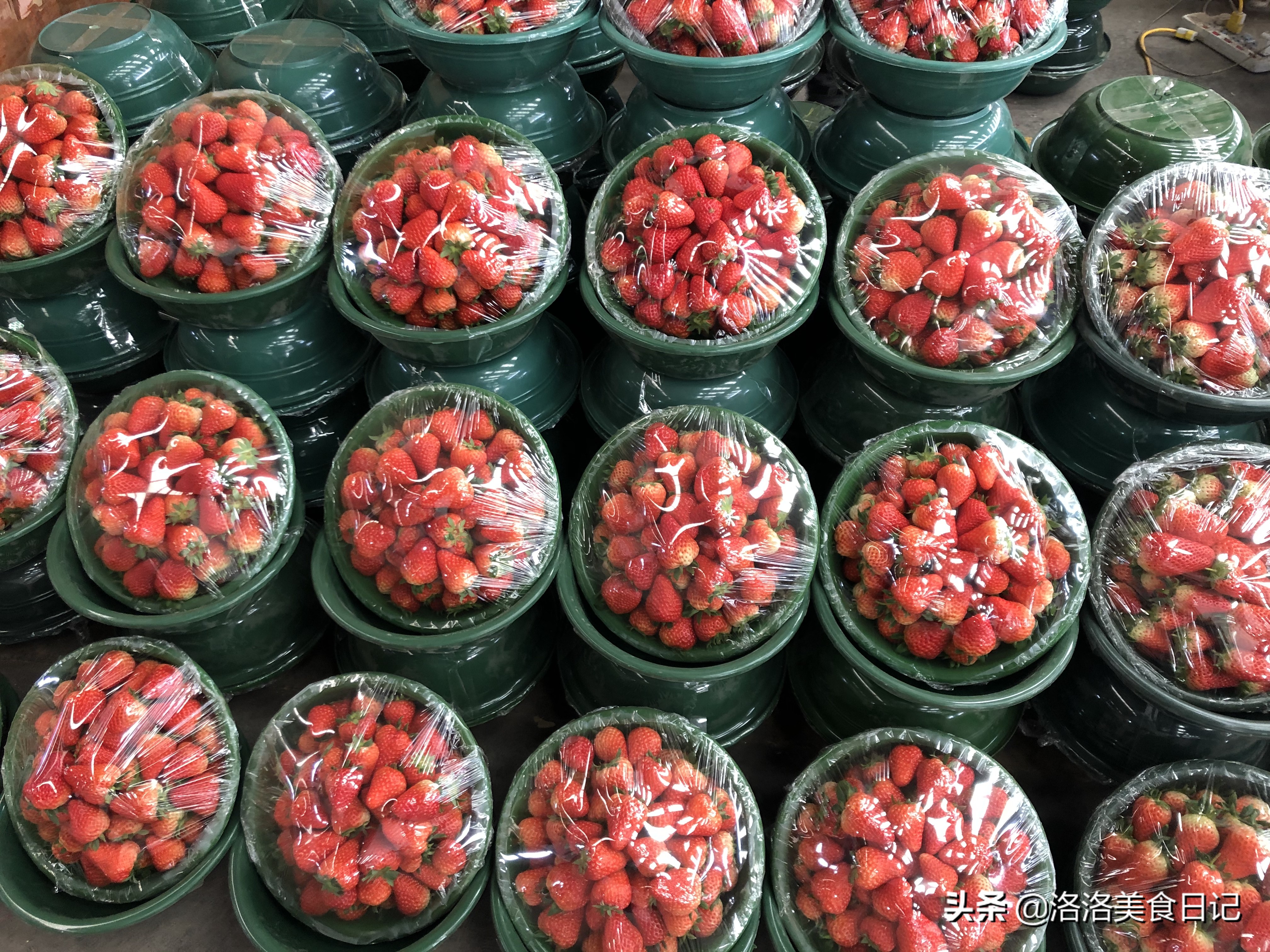 洗草莓，直接用清水洗等于吃虫卵，教你一招，洗得干净吃得更放心