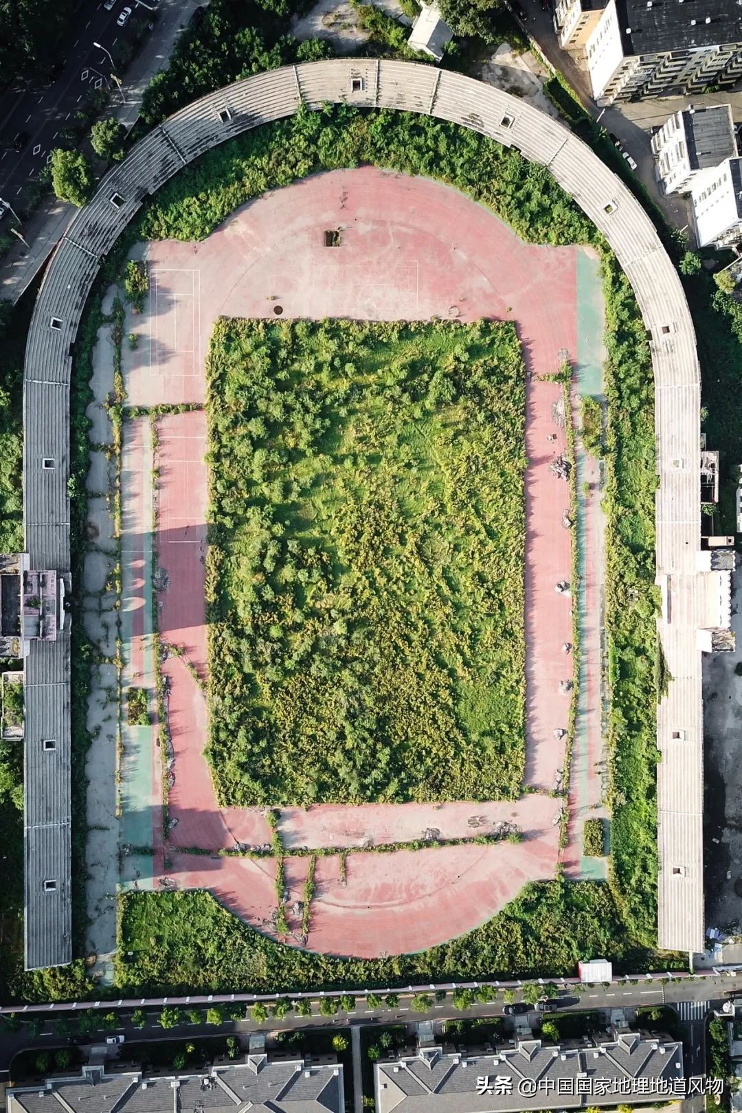 哪个地方的奥运冠军最多,中国哪个县世界冠军最多