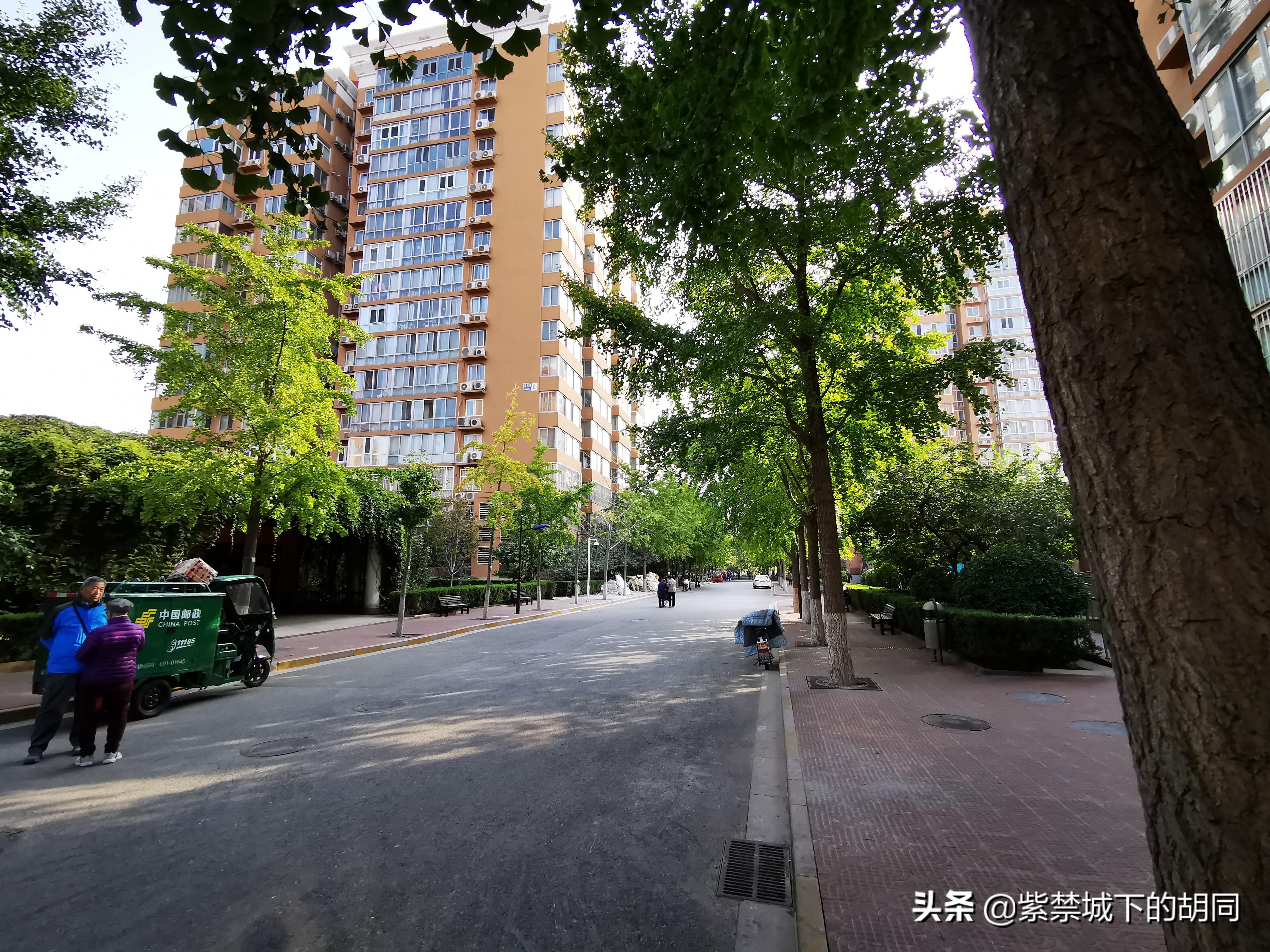 一篇*今条头日**文章，惊喜见到阿拉善王府的“格格”