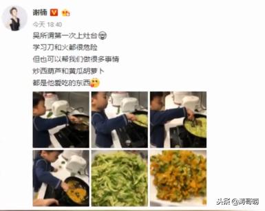 吴京和谢楠说我养你,吴京和谢楠的孩子真的叫无所谓吗