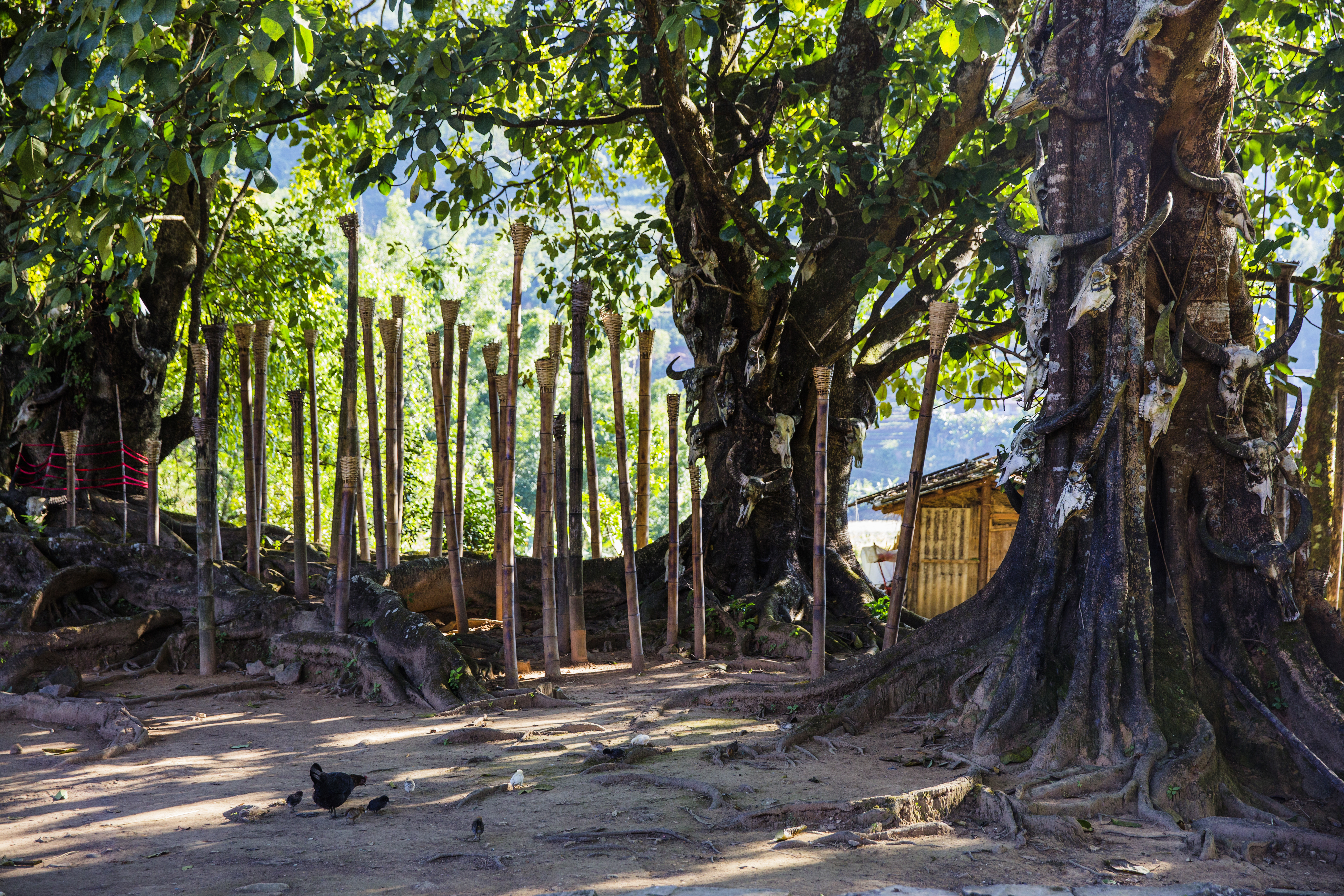 以“黑”为傲的民族离缅甸很近离你很远杀头祭祀已经成为过往