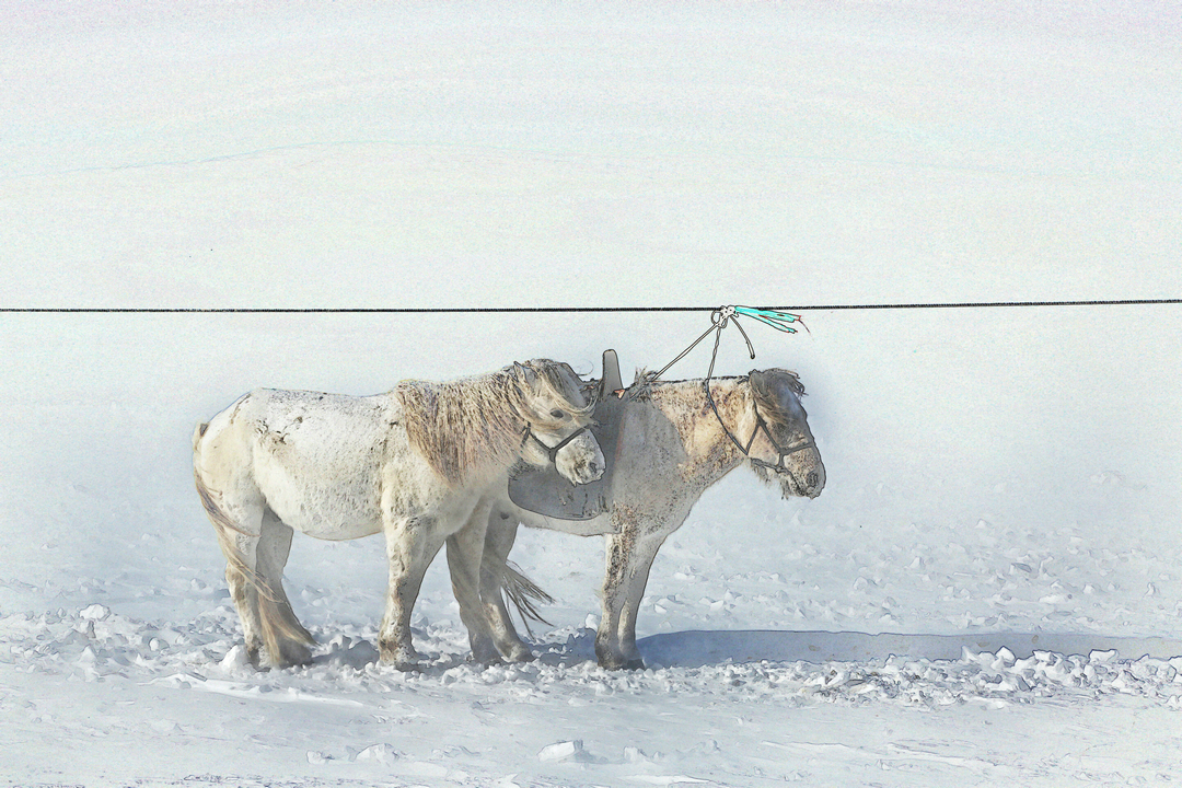 拍马都追不上的成语,拍马都赶不上的成语