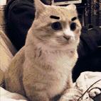 江门市二手房新政策,外地人在江门买房的忠告