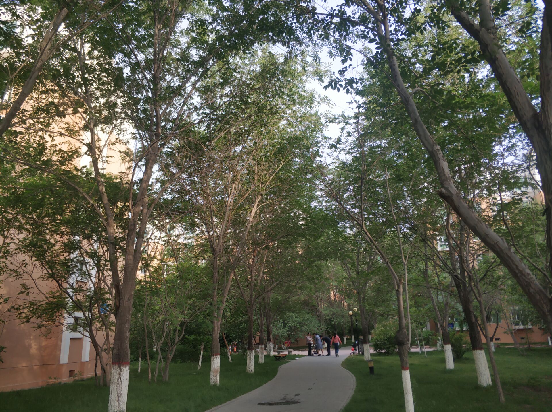 华美文轩乌鲁木齐,华美文轩家园乌鲁木齐