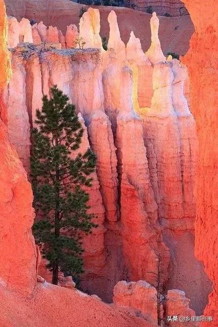 惊艳,百年罕见的绝世美照