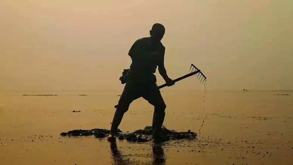 读辽宁历史感悟,盘锦旅游景点推荐二界沟