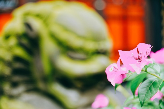 成都美食攻略天府之国,天府之国成都必尝美食