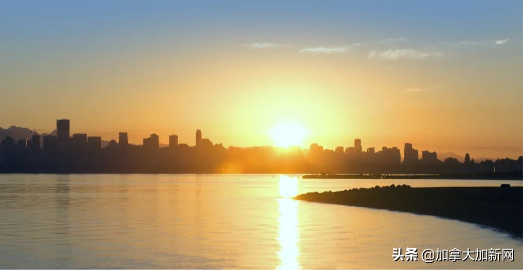 温哥华体感39℃温村人集体热疯印度人表示：太热了想回印度