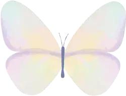 俯瞰滦州|另一个角度发现滦州的美