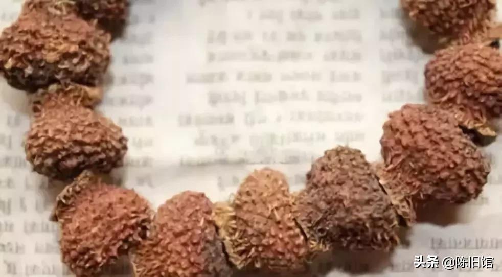 最值得玩的菩提子,真正的菩提子