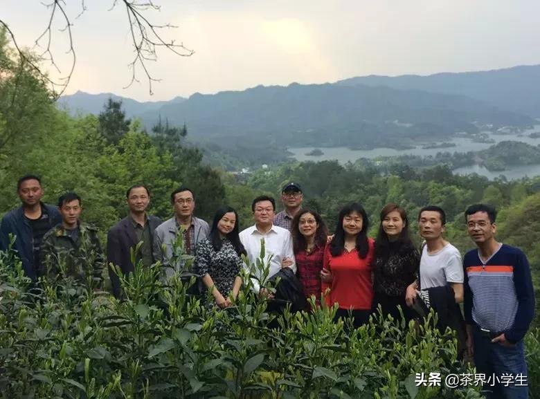 谢裕大被收购,谢裕大最新消息