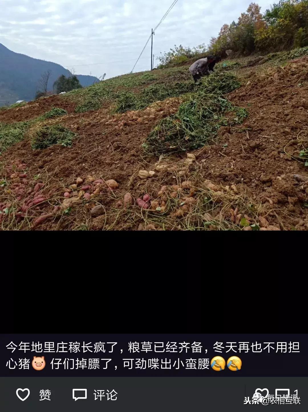 深度好文100个故事,深度好文复盘20年前