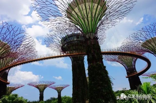 新加坡怎么玩必备攻略,新加坡的攻略