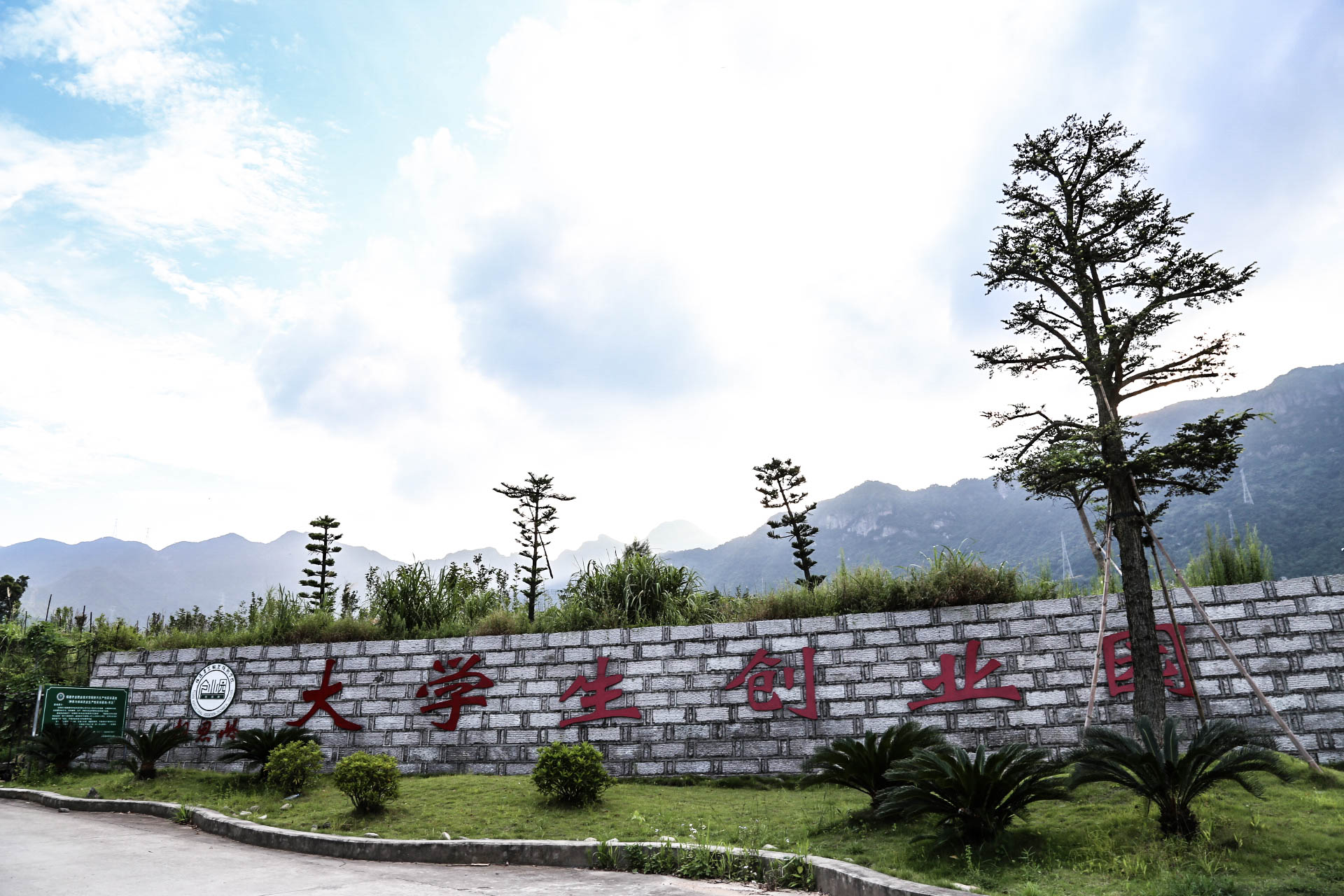 大学生创业应具备哪六种能力,具备自己的创业思维