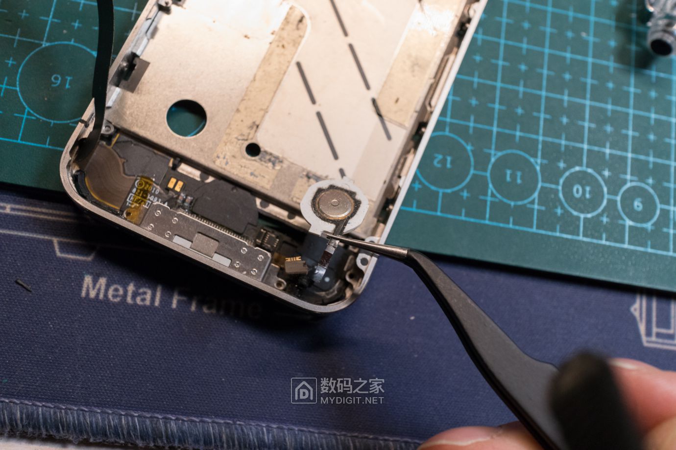 把未拆封的iphone4做成标本,iphone4被做成标本