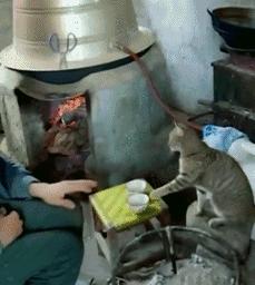 大姐gif搞笑图片,搞笑表情真人动图大全