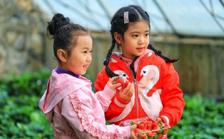 超长记录亲子牧场一日游,暑期草原亲子游攻略