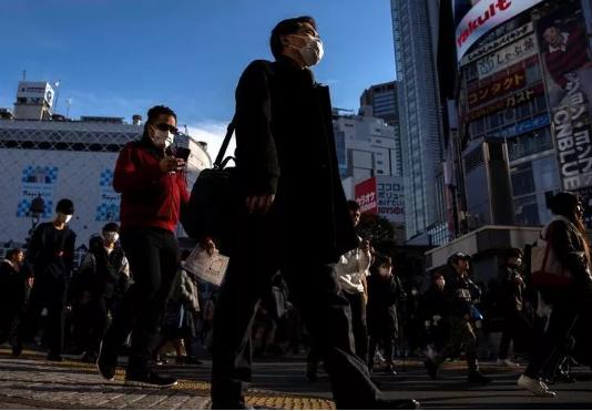 张康阳回应完整视频,张康阳上央视新闻