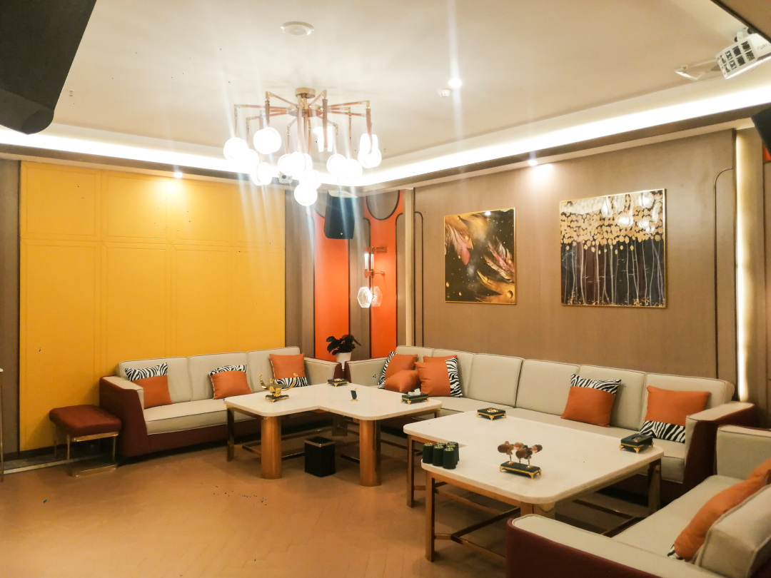 唐龙太极音响展,唐龙太极音响演出现场