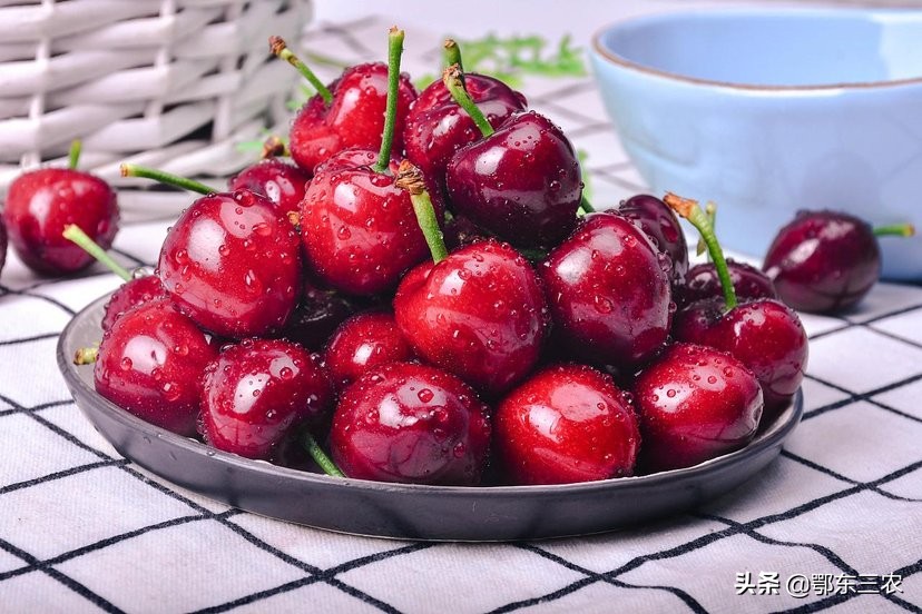 樱桃煮冰糖可以存放多长时间,樱桃采摘完后如何保叶