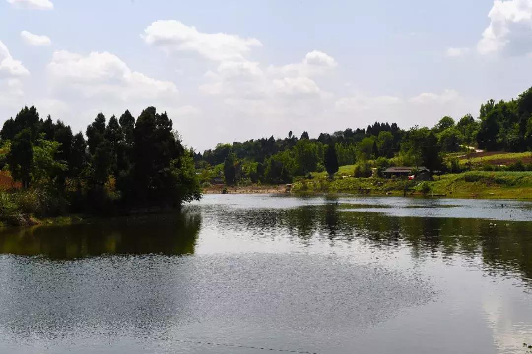 自驾旅游沿着g30高速公路看风景,沿g318去拉萨一路海拔
