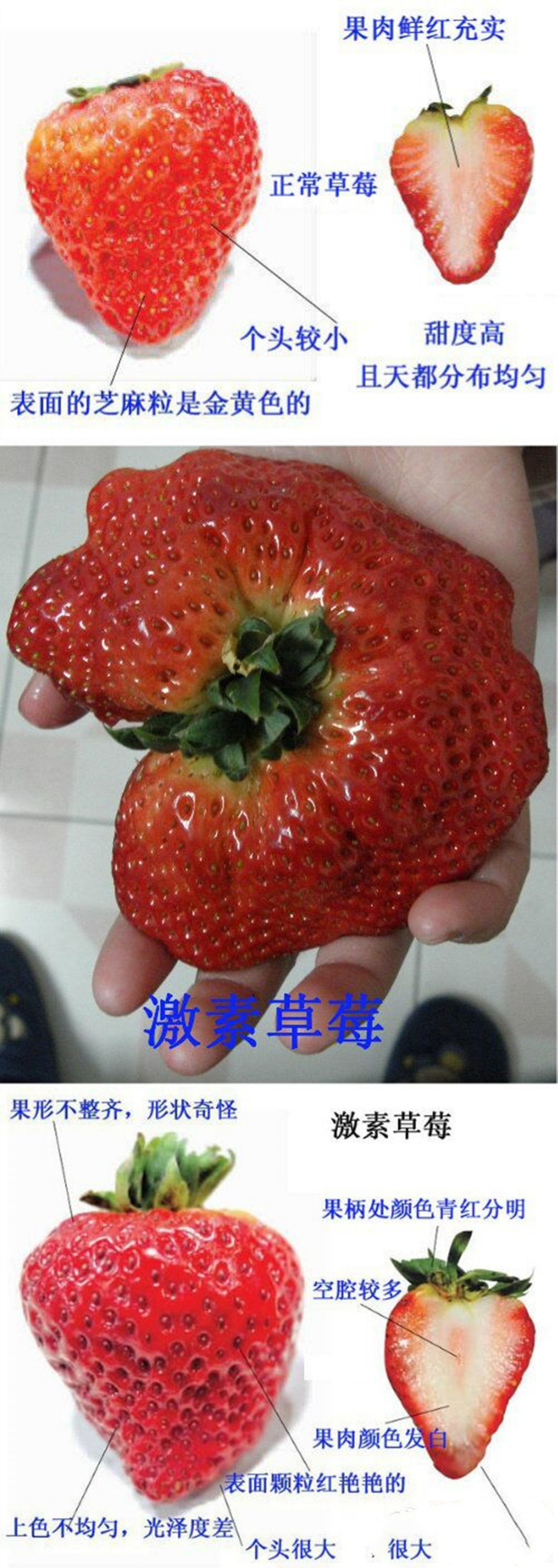 买草莓时遇到这3种万万不能买,买草莓时会遇到一些什么