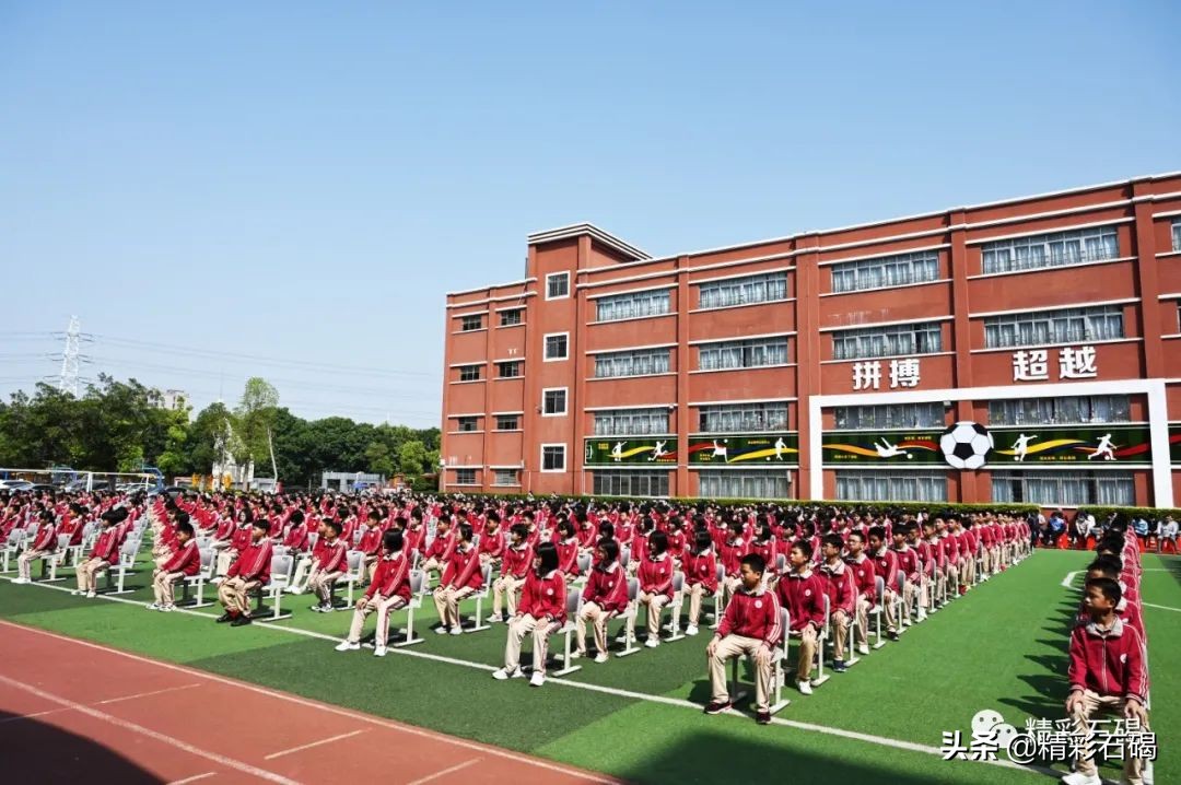 东莞石碣四海学校2018年,东莞石碣学校排名