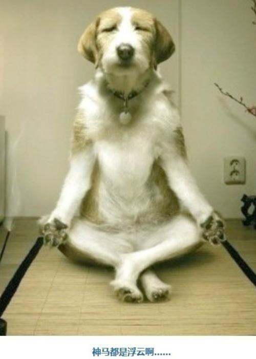 打牌上瘾到不顾一切,打牌真的那么上瘾吗