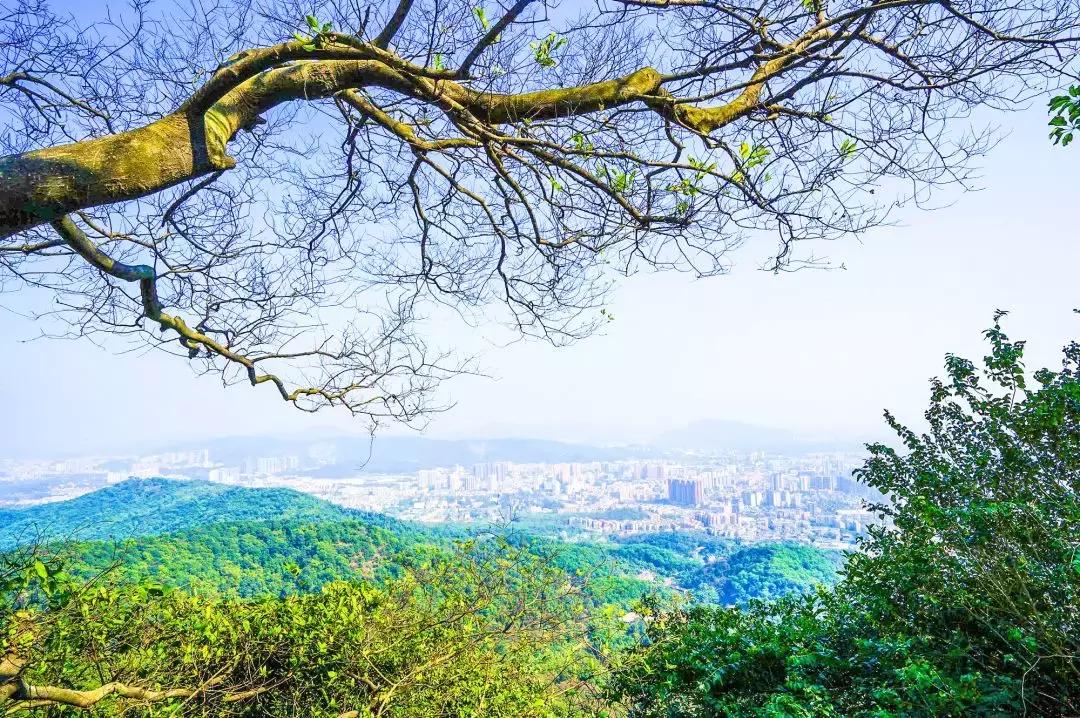 广州白云山风景区最新通知,广州白云山南麓片区改造