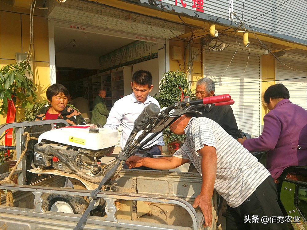 农民种植业赚钱吗现在,农村什么种植业最挣钱的