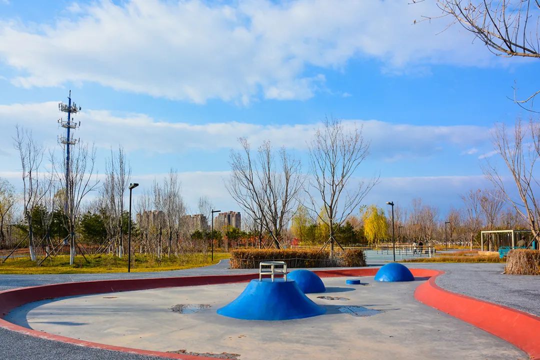 春意盎然北京五大公园,北京区级综合性公园