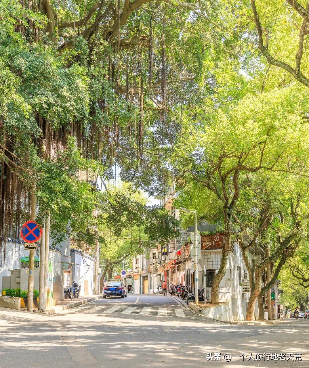 清明旅游一日游攻略,清明旅游三日游攻略