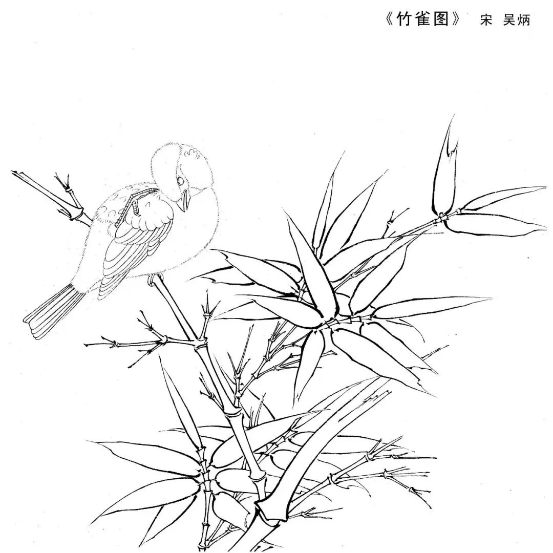 宋人工笔白描,宋人小品花鸟工笔白描高清图