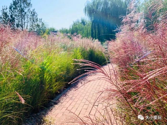 亲子游玩地点推荐北京亦庄,亦庄周末带娃好去处