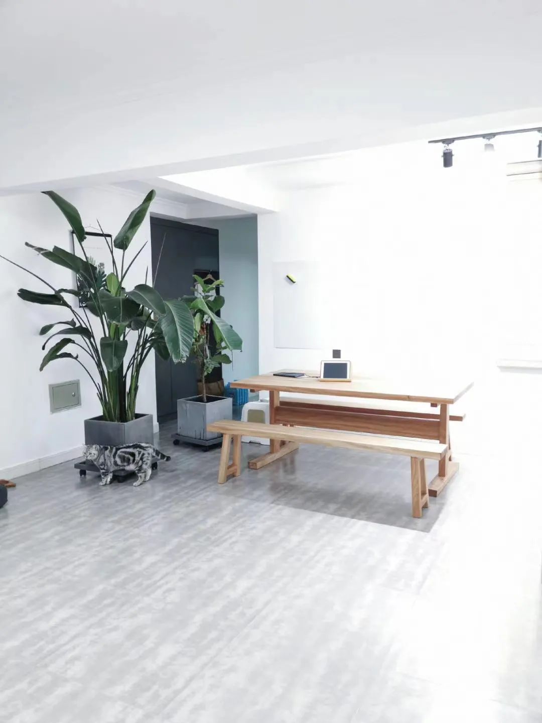 花了二十万做的装修设计,花了20万装修成自己梦想的样子