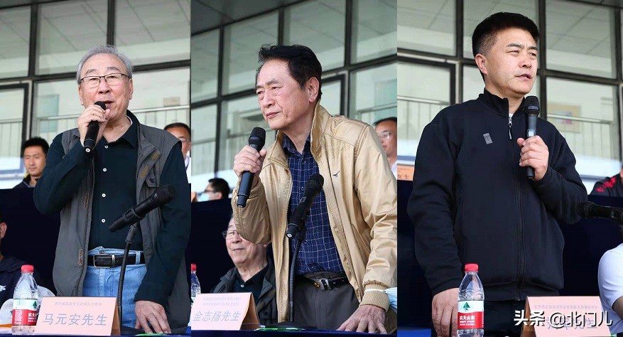 国安扳回一城张稀哲,张稀哲国安第一次首发