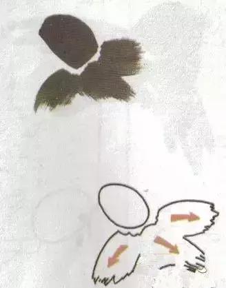 写意花鸟配景石的画法,干货写意花鸟类的画法